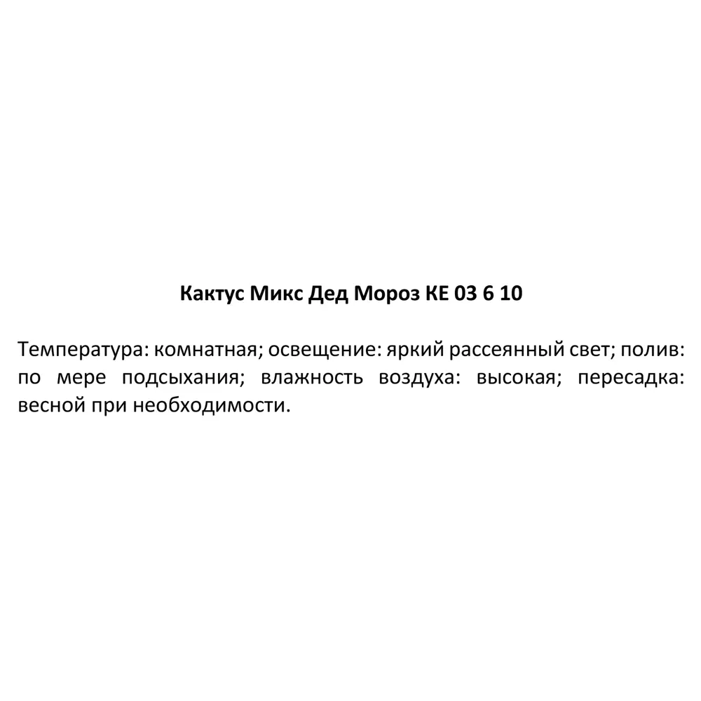 Кактус Микс Дед Мороз ø6 h10 см 85848708 STLM-2073236 Santreyd  - Вид №7