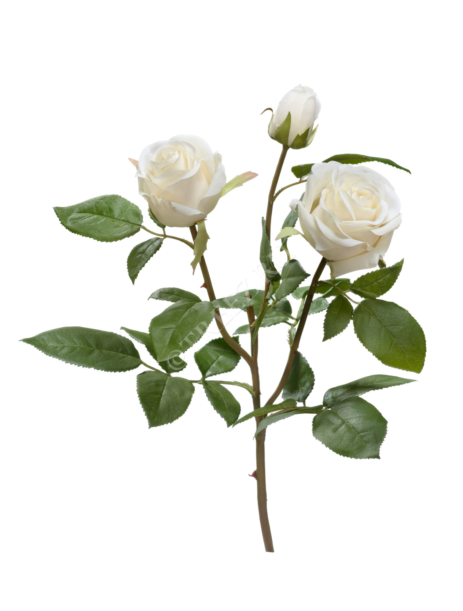 30.0611065WH Роза Флорибунда Мидл ветвь белая Цветочная коллекция 