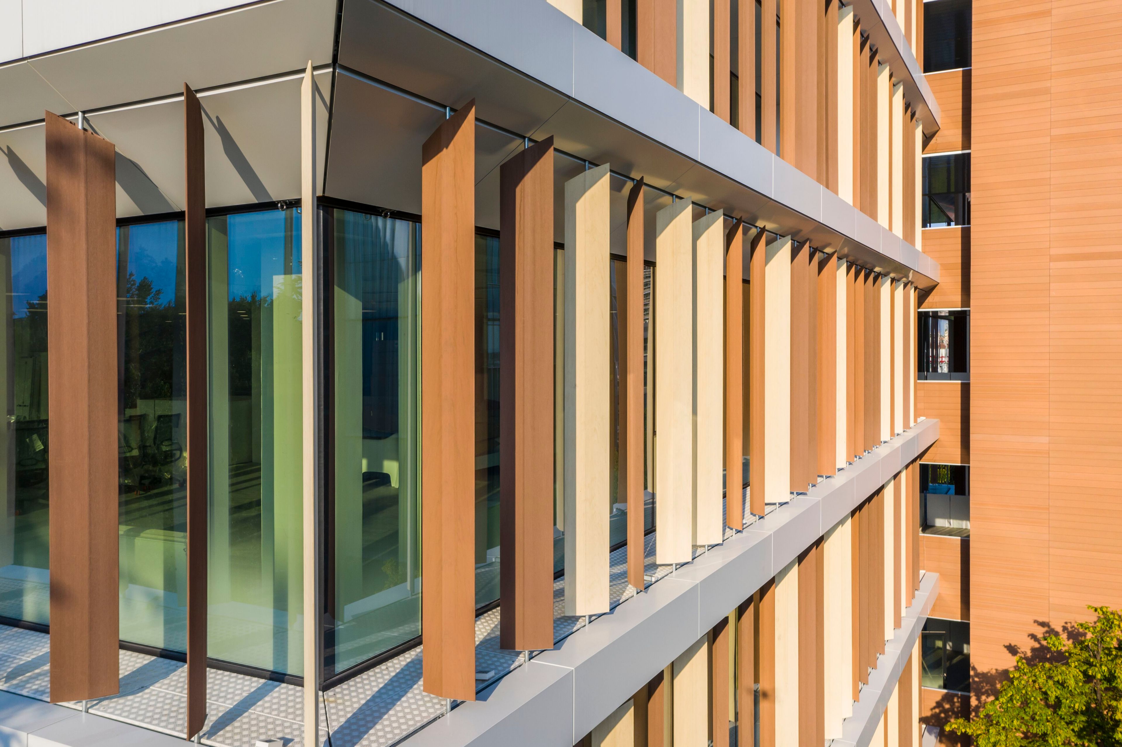 Композитные деревянные Frangisole Woodn Greenwood Woodn Versatilis ARCH-00132556 - Вид №5