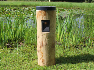 Каштан солнечной энергии светодиодный свет Кола