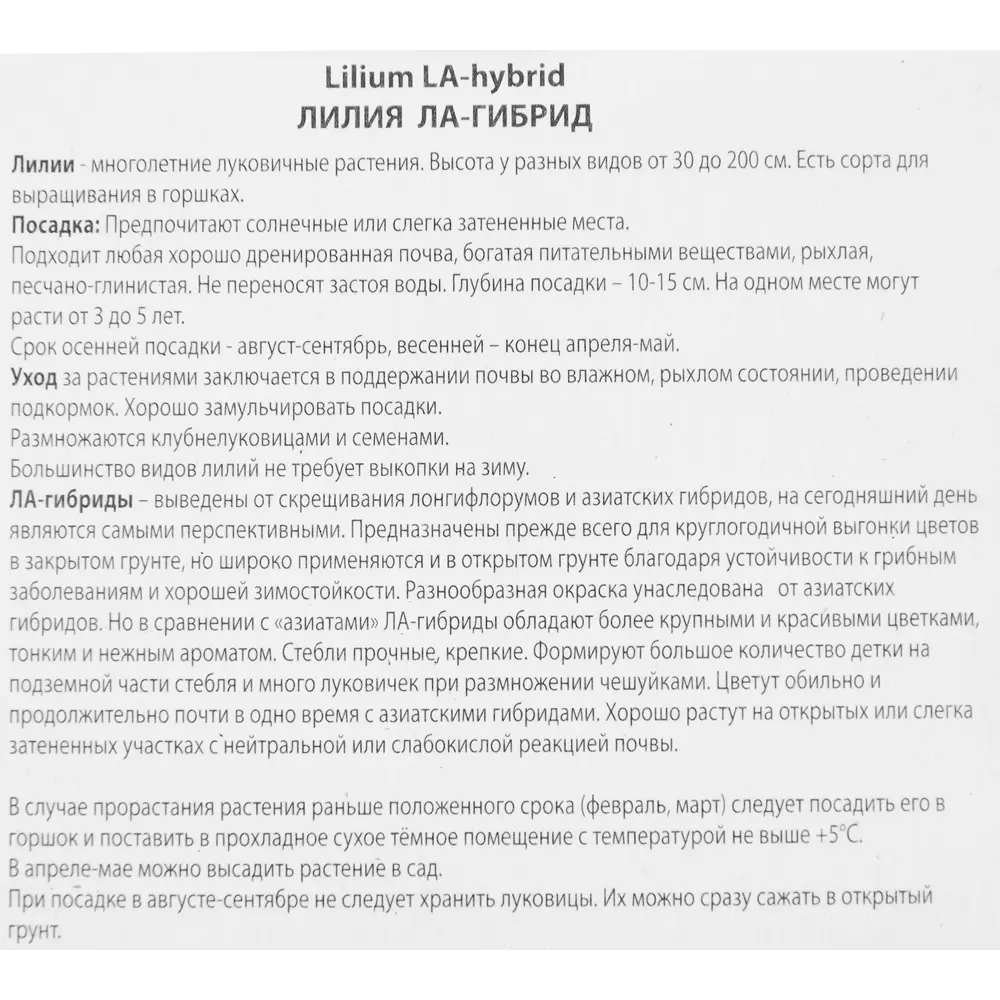 Лилия ла-гибрид Эрколано 85205737 STLM-2172501 ПОИСК  - Вид №2