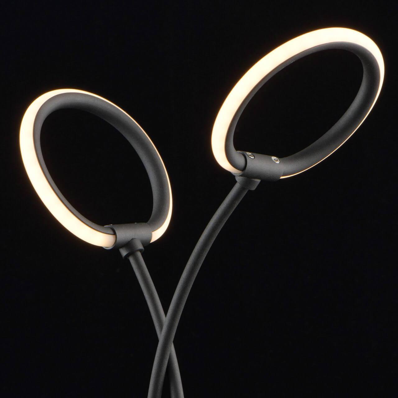 Настольная лампа De Markt Этингер 8 704031602 DE MARKT КЛАССИЧЕСКИЕ 194935 Черный  - Вид №2