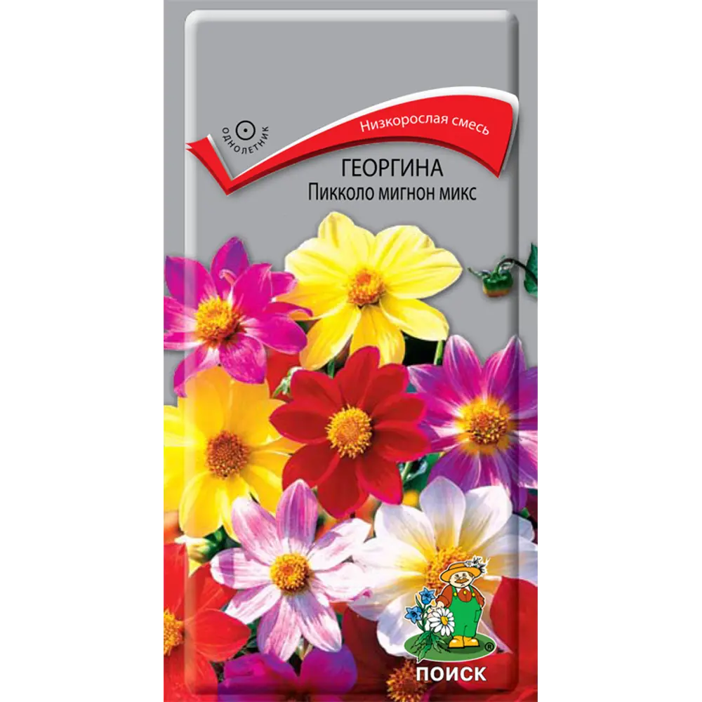 Семена Георгина «Пикколо Мигнон Микс» 83227382 STLM-2106868 ПОИСК 