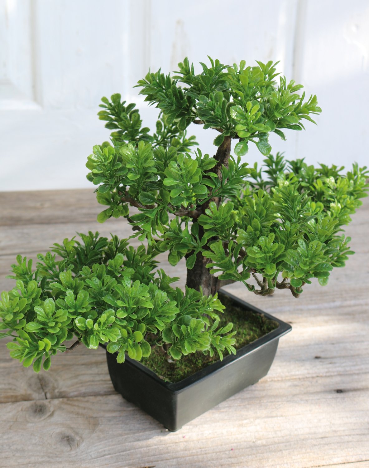 5921 883 a3 Имитация самшита бонсай, горшечная, 30 см, зеленая H-andreas  - Вид №3