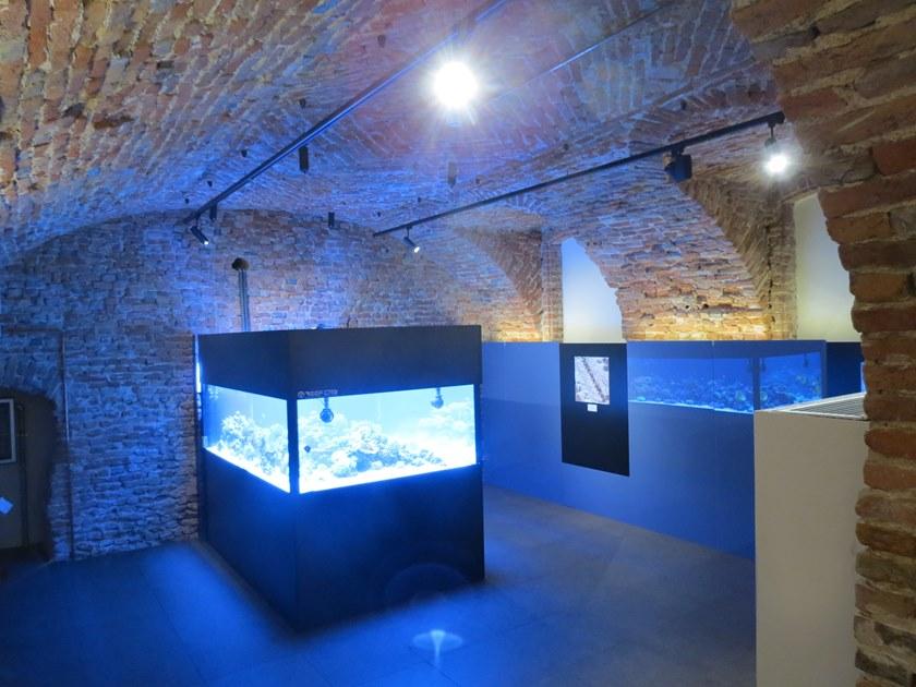 GammaStone Стеклянная панель Gammastone glass air sun-id-1459280 - Вид №2