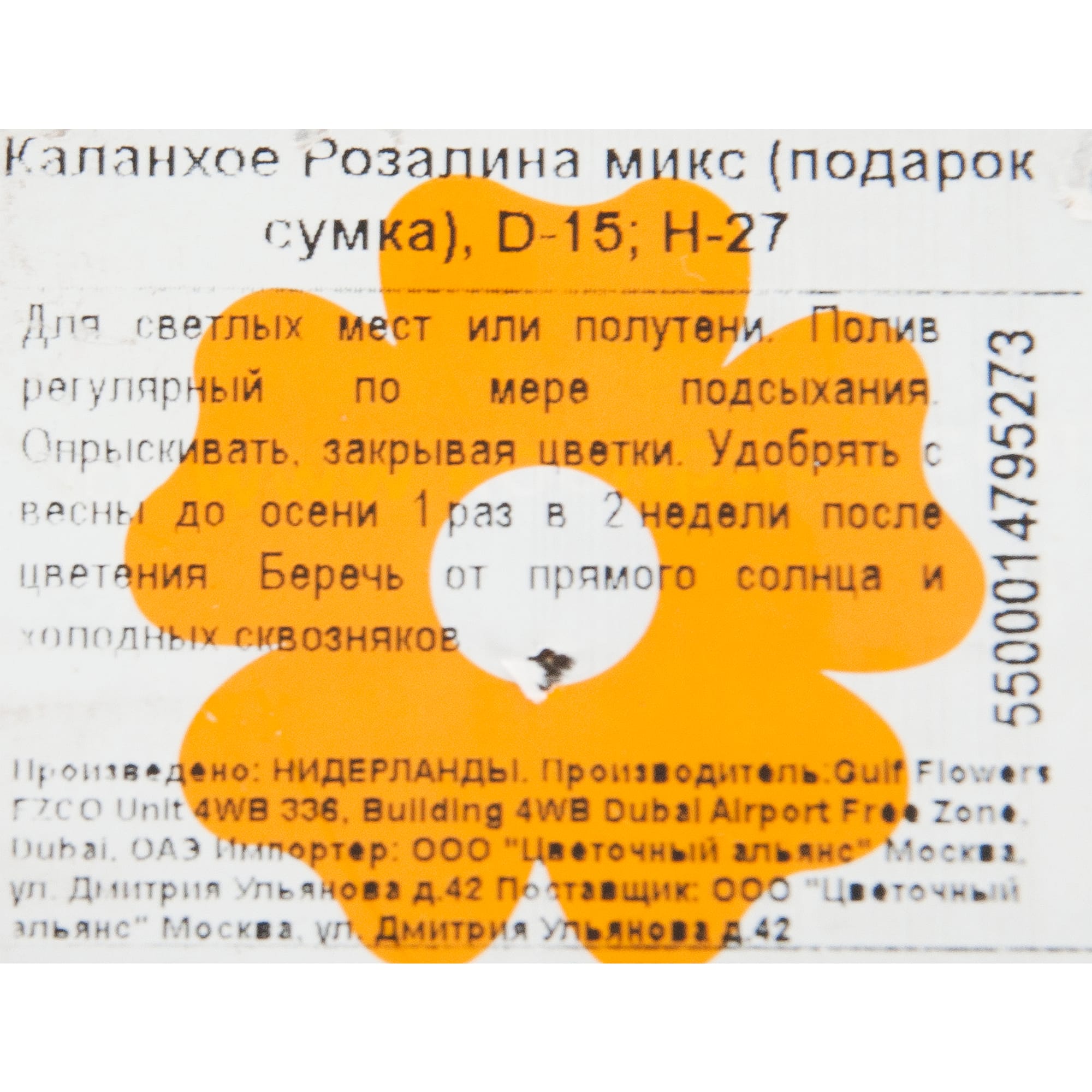 84450734 Каланхое Розалина подарок сумка ø15 h27.5 см Santreyd  - Вид №2