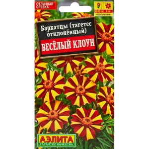 Бархатцы Веселый клоун h23 см 13075714 STLM-2004574