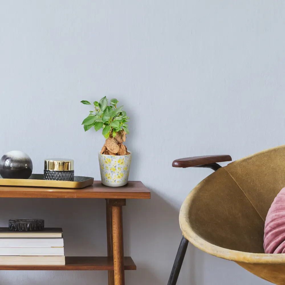 Горшок цветочный Ingreen Easy Grow ø16 h14.6 см v2 л пластик акварель Фиджи декор STLM-2052472 - Вид №2