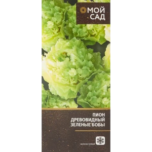 Пион древовидный Зелёные Бобы 83761608 STLM-2066111