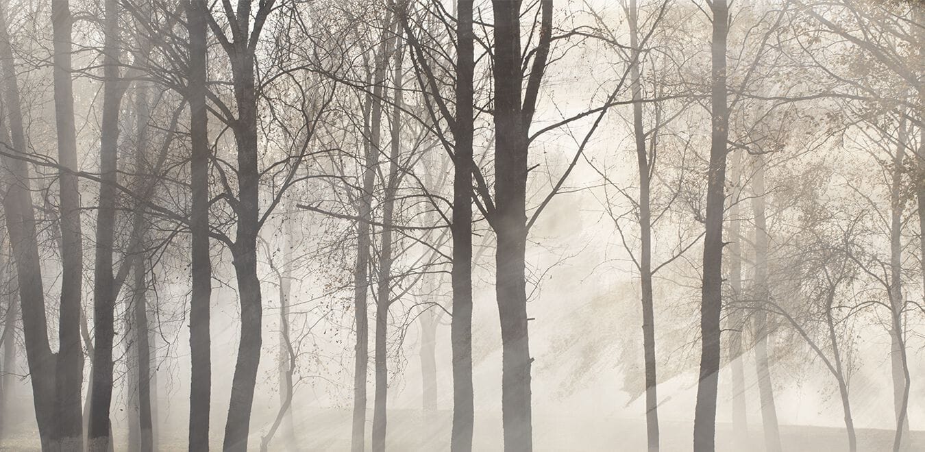 Обои Creativespace Prêt-à-porter ARCH-00123413 - Вид №1