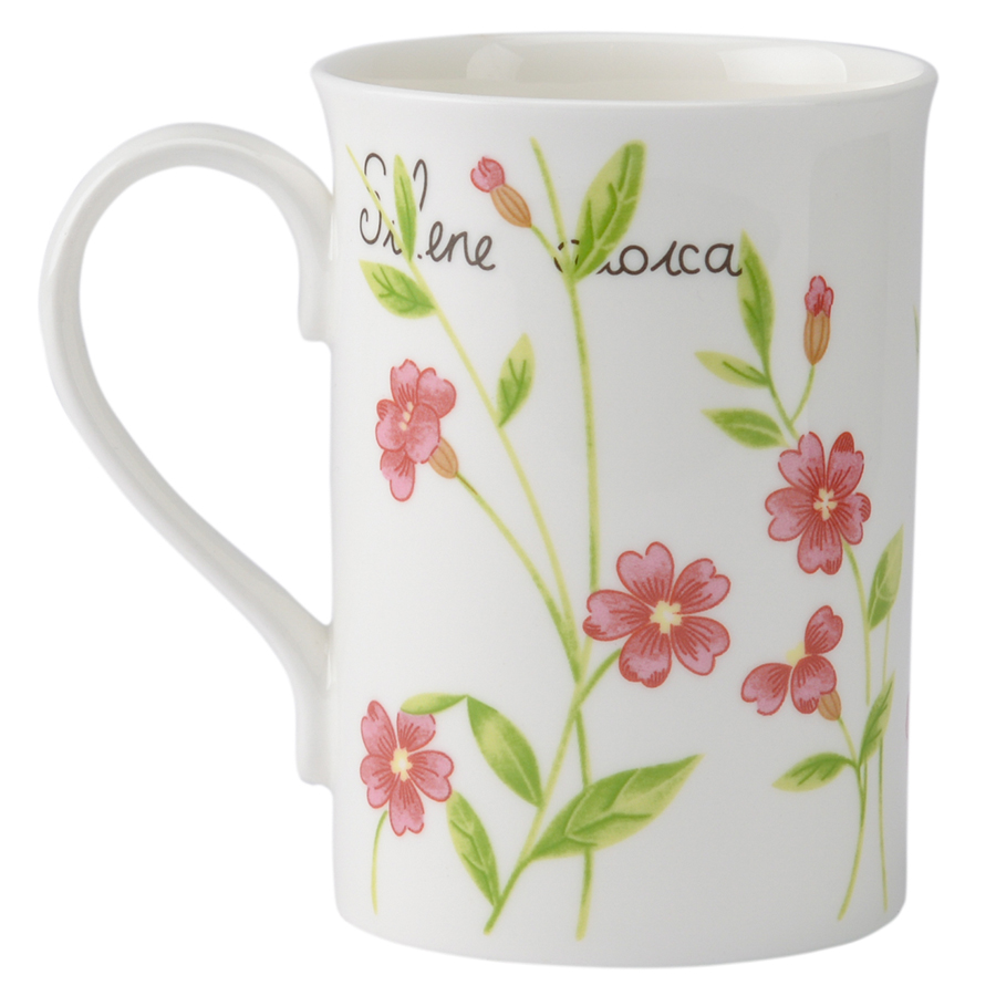 P_0043.007pk Кружка botanic 300 мл розовая Price&Kensington  - Вид №2