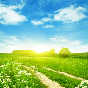 D1-078 Фотообои DIVINO Collection D 2.7х3 м