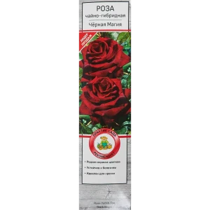 Розы чайно-гибридные «Черная Магия» 18348208 STLM-2034608