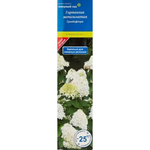 Гортензия Грандифлора ø9 h39 см 83738713 STLM-2168023