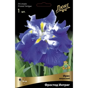 Ирис японский Фростед Интриг I 89381300 STLM-2032988