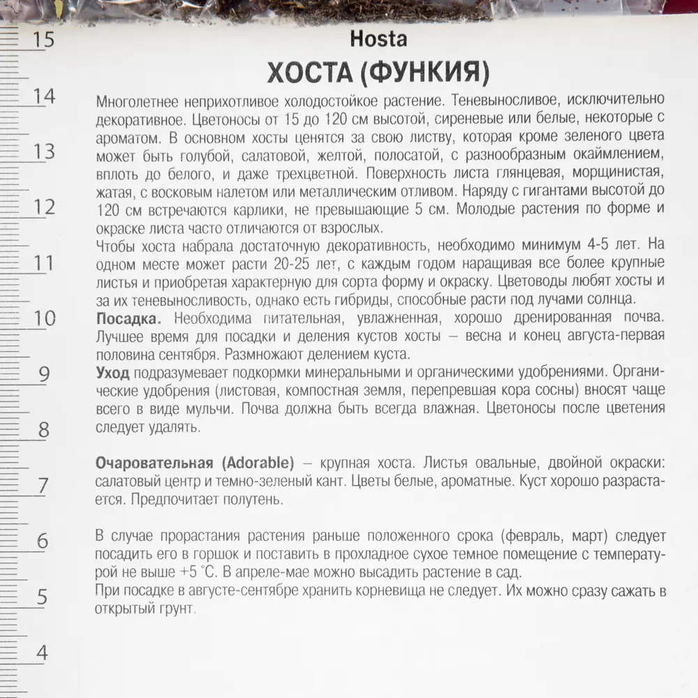 Хоста гибридная «Адорабл», 1 шт. 82118736 STLM-2129744 Santreyd  - Вид №2