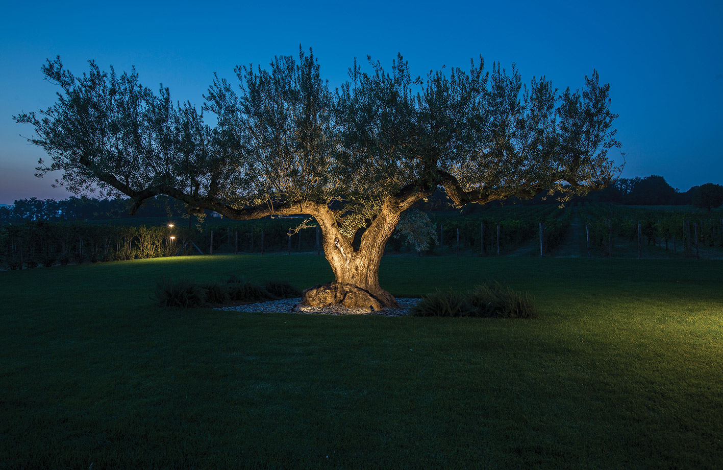 9405018 Проектор Platek NANO Proiettore  NANO Floodlight - 1 LED 3000K 33°  - Вид №8