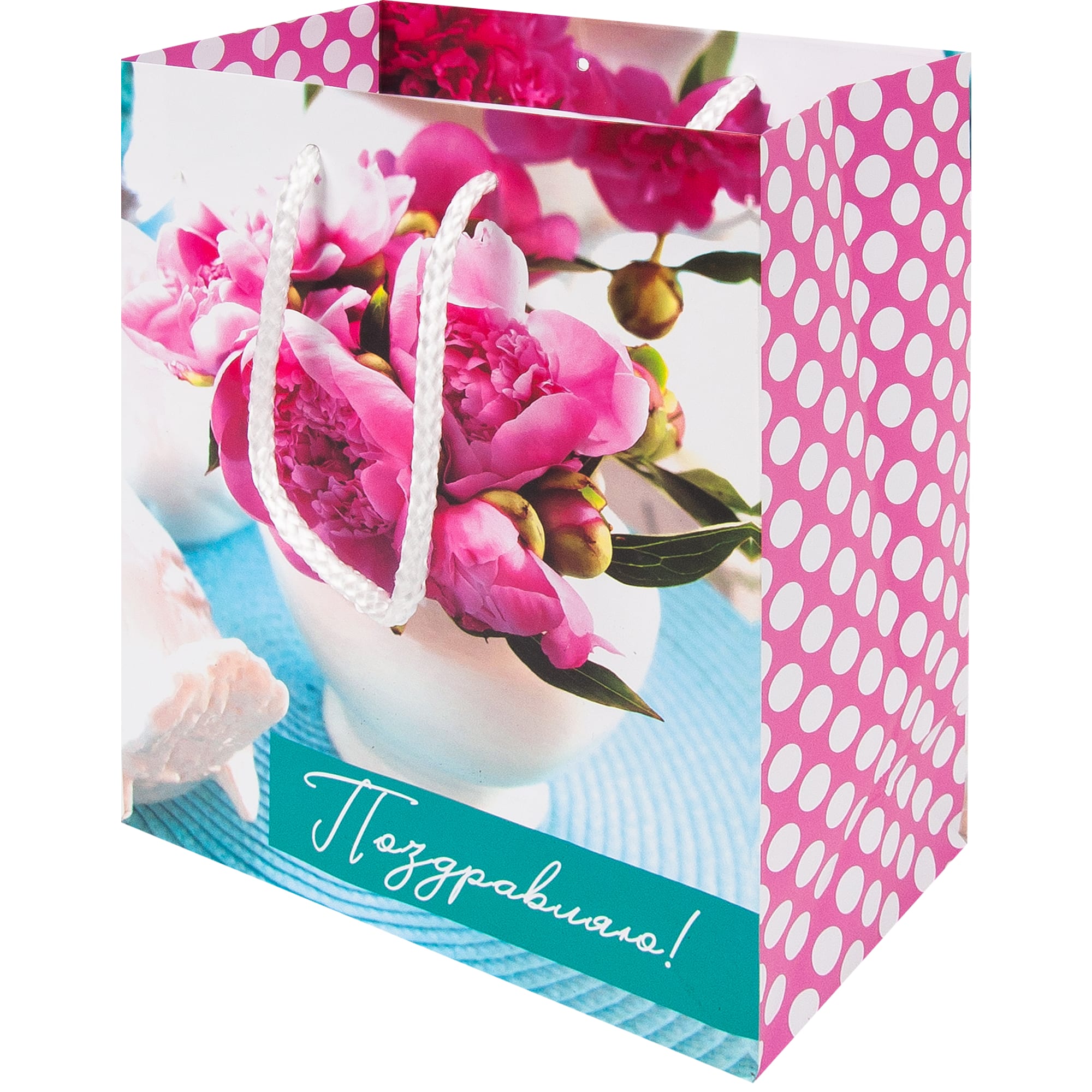 84730453 Пакет подарочный 83566 17x23 см Santreyd 