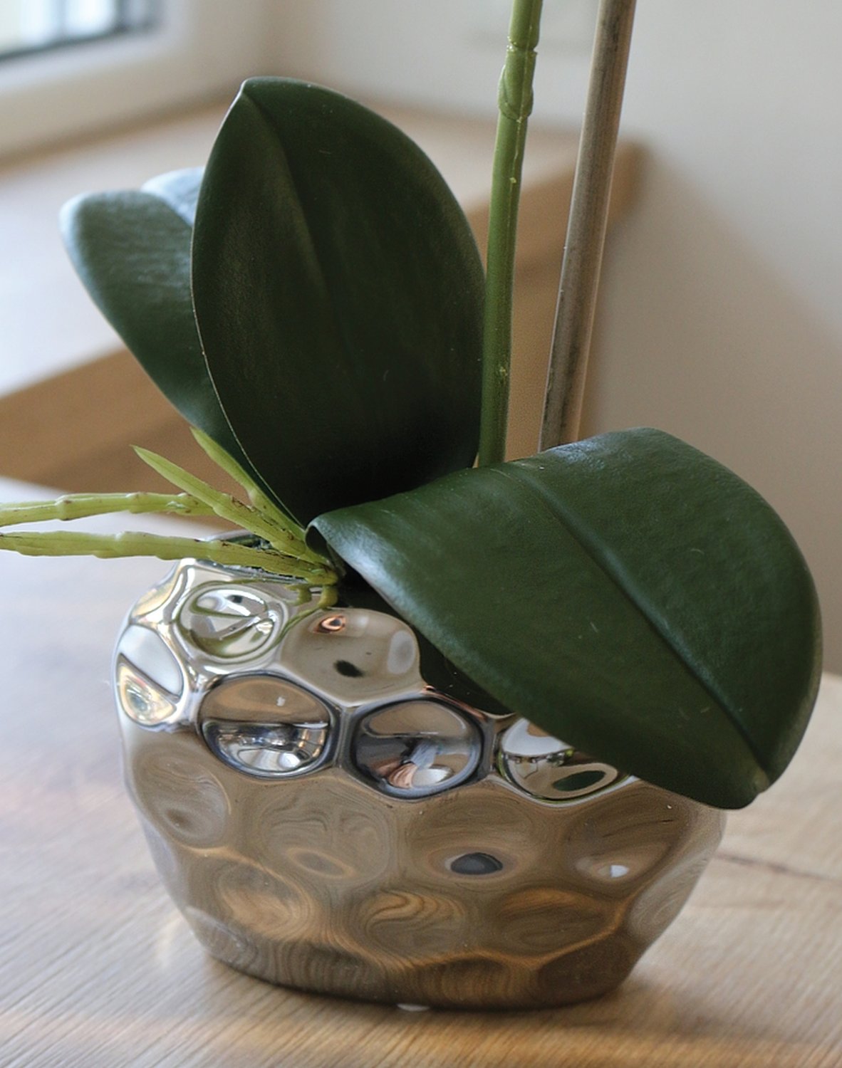 2596 778 a3 Пластиковая орхидея Phalaenopsis, горшечная, 43 см, real touch soft, бежево-белая H-andreas  - Вид №1