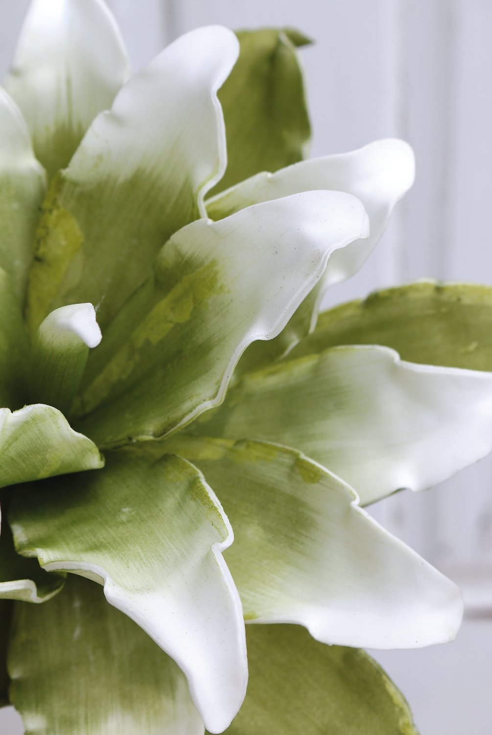 7898 807 a3 Искусственный протея мягкий цветок, 38 см, зелено-белый H-andreas  - Вид №5