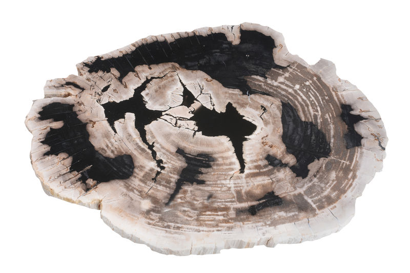 FUBR039 Приставной столик из окаменелого дерева ijlbrown  - Вид №1