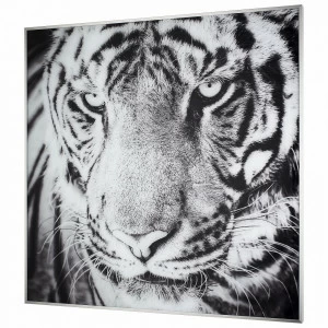 Панно интерьерное в алюминиевой раме 80х80 см черно-белое Tomas Stern TOMAS STERN  00-3872669 Серый;черный;разноцветный