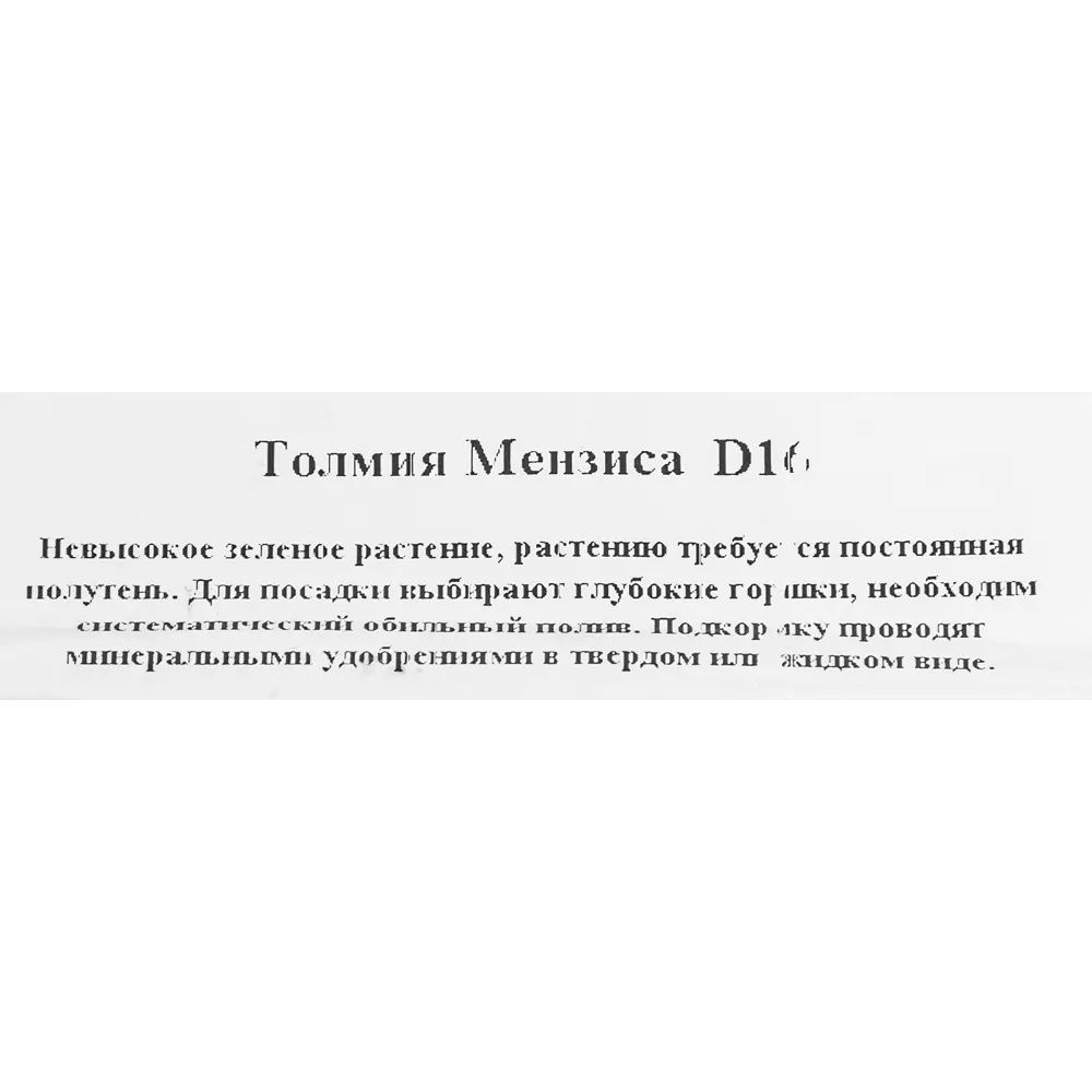 Толмея мензена d16 h25 82560393 STLM-2076903 Santreyd  - Вид №1