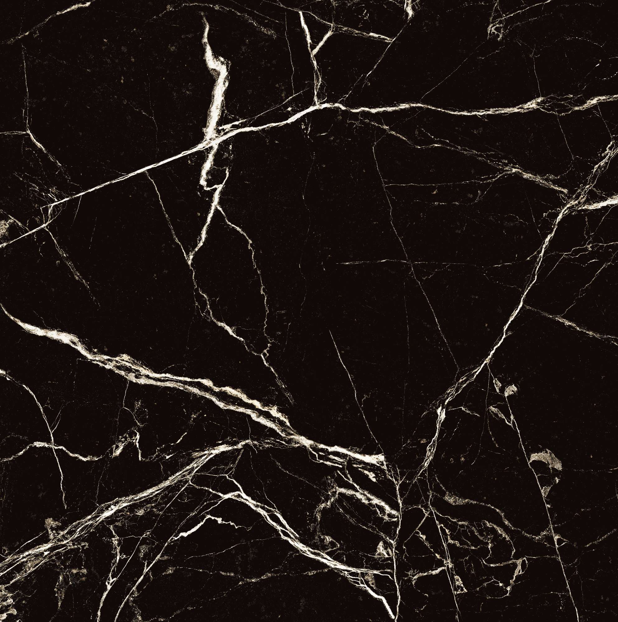 BLACK SPINDER — Элегантность черного мрамора HG2008-A Arcadia Ceramica - Вид №7