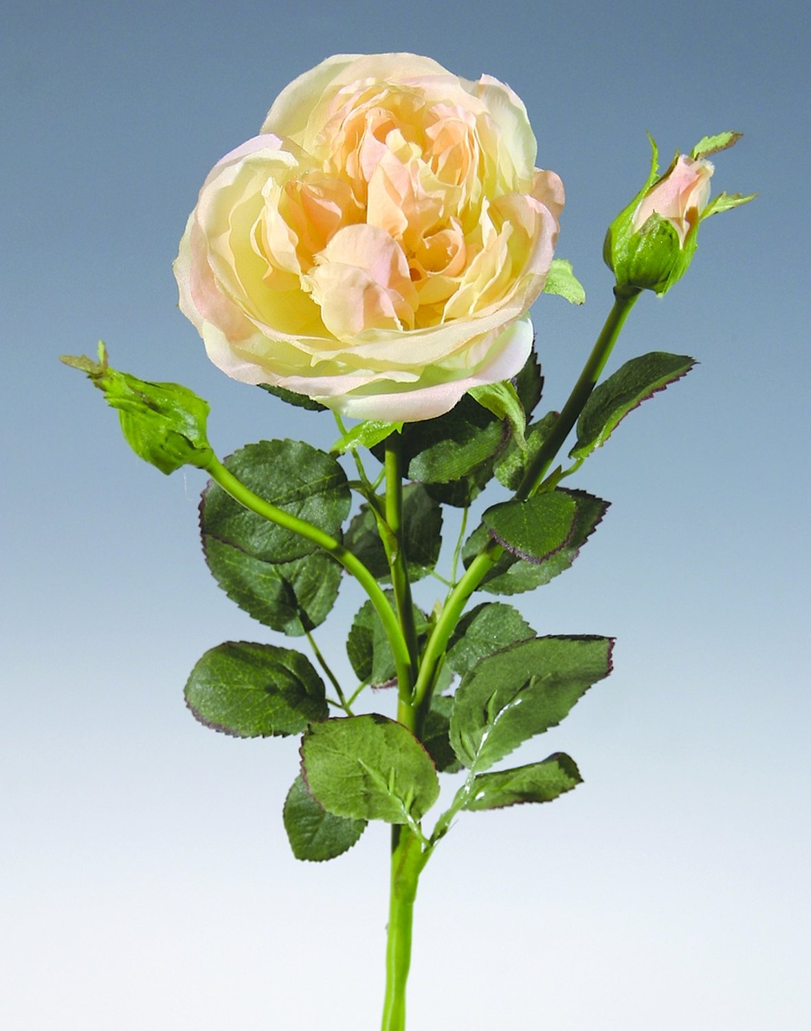 3255 553 a2 Ложная роза, 1 цветок, 2 бутона, 30 см, абрикос H-andreas  - Вид №2