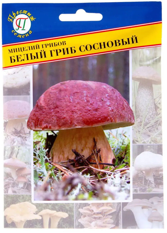 Мицелий Белый гриб Сосновый от ПРЕСТИЖ СЕМЕНА - ароматный сорт для домашнего выращивания 17301740