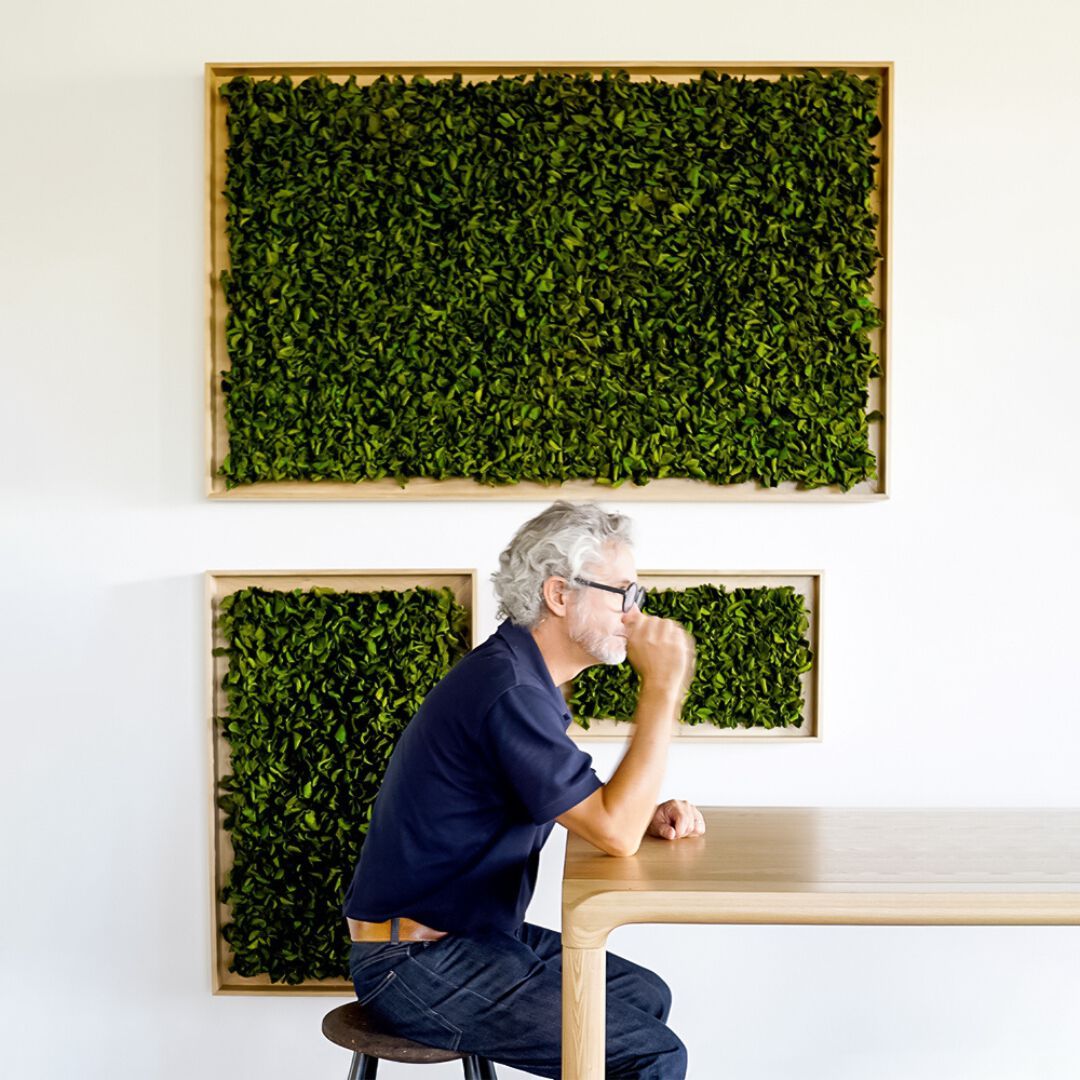 Акустическая панель из мха GREENMOOD FRAMED TEXTURED ARCH-00008674