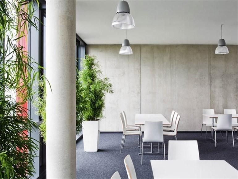 Brunner Стул штабелируемый из фанерованной древесины Prime sun-id-1391159 - Вид №11