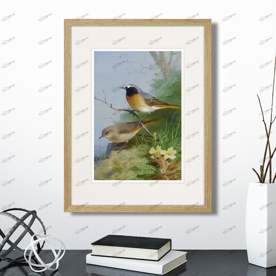 Литография на тонированной бумаге 42х32 см Pair of Redstarts, 1923г. КАРТИНЫ В КВАРТИРУ  264330 Белый;коричневый;разноцветный 