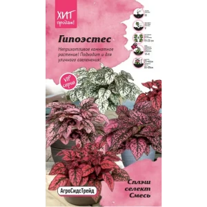 Семена цветов Агросидстрейд гипоэстес Сплэш селект микс 5 шт.