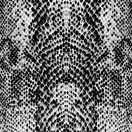 D1-101 Фотообои DIVINO Collection D 2.7х3 м D1101