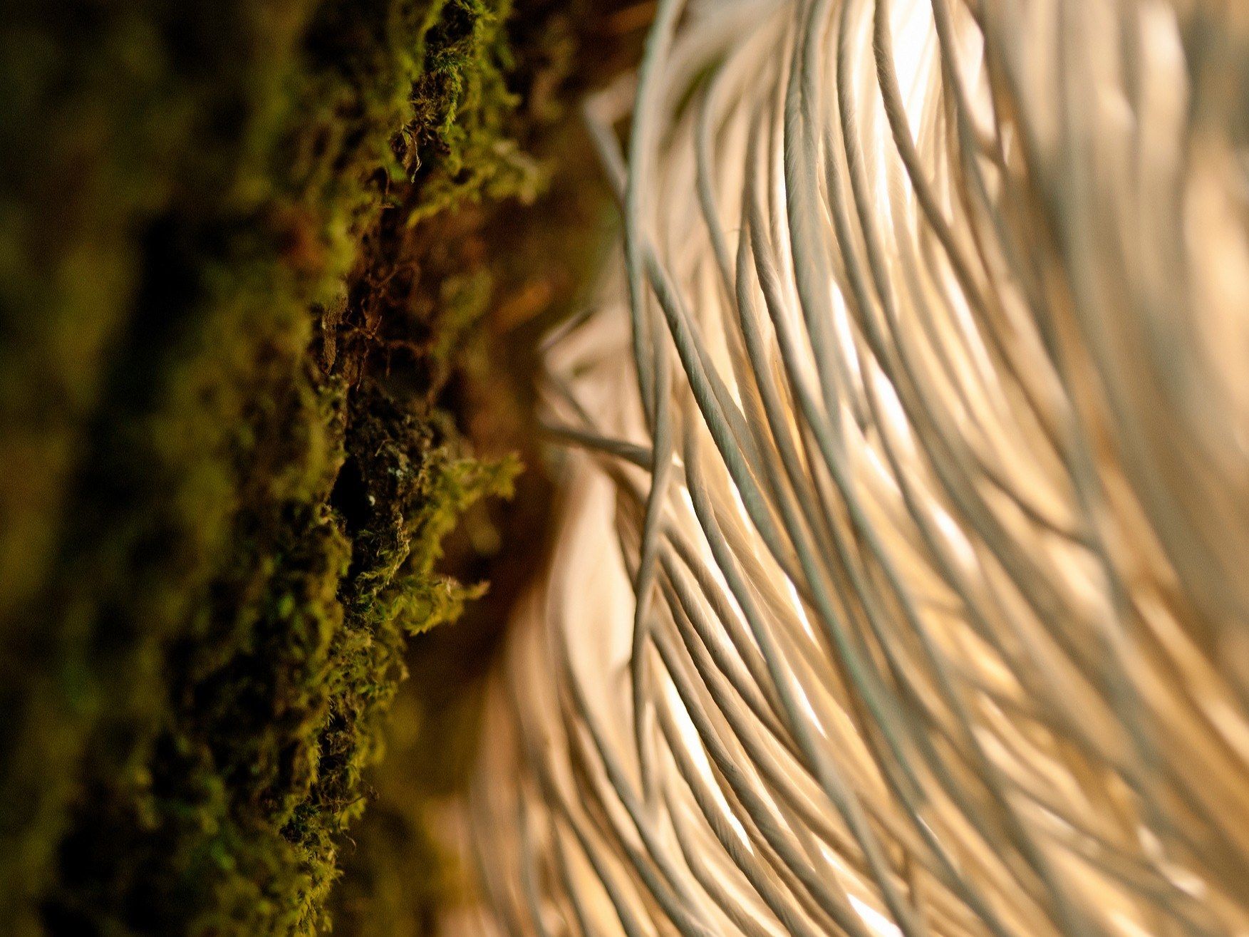 Светодиодная напольная лампа из целлюлозного волокна A-Emotional Light Arc ARCH-00078549 - Вид №4