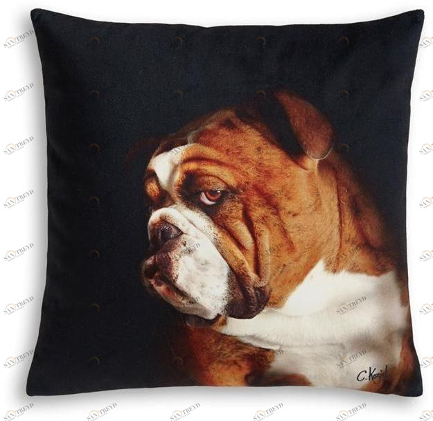 Koziel Квадратная подушка  9997-73 