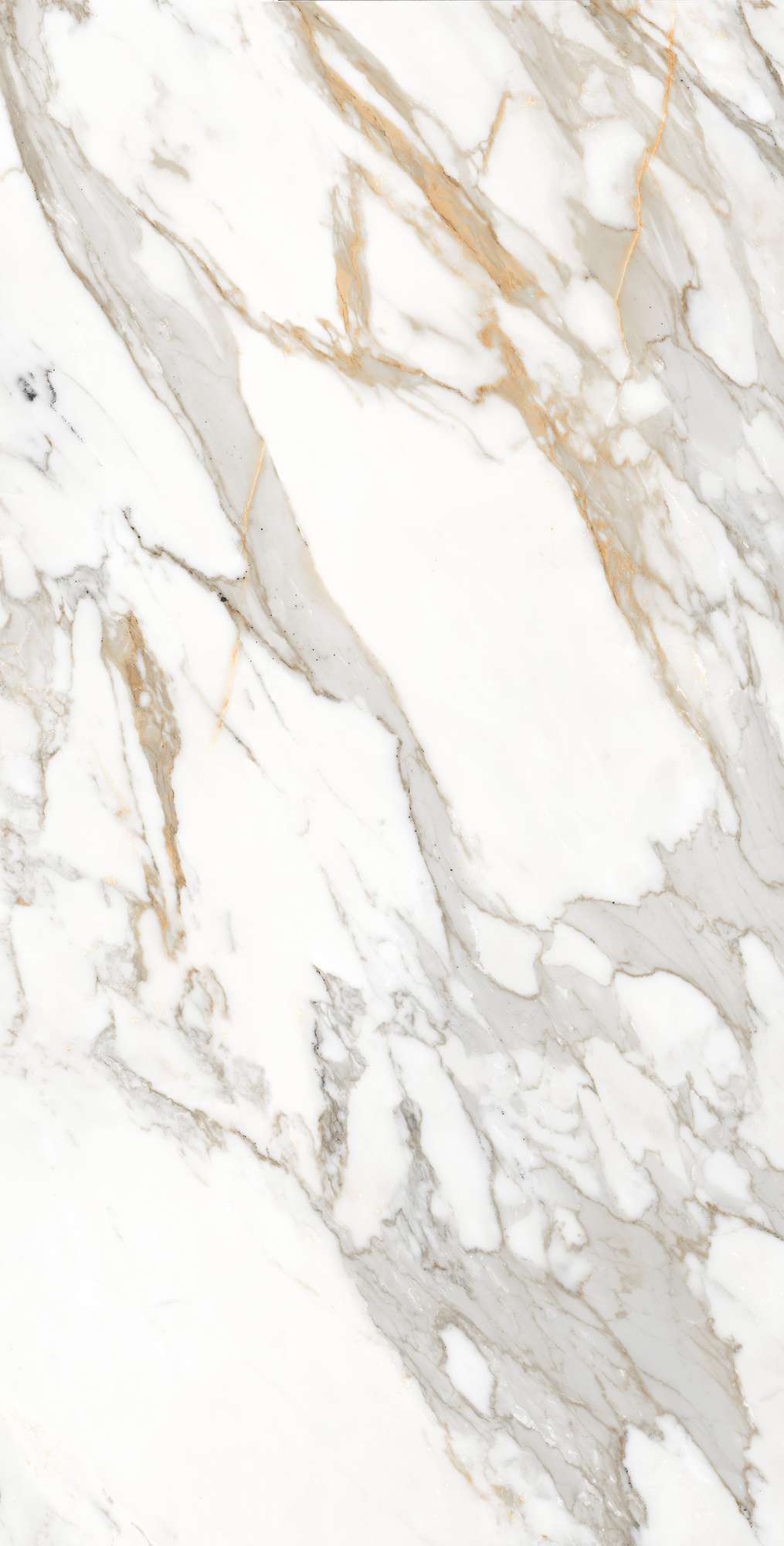 CALACATTA ORO — Элегантность мрамора в вашем интерьере FP1006-A Arcadia Ceramica - Вид №3