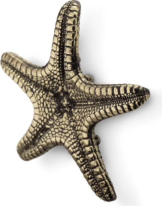 OC2013 Linckia PULLCAST Ocean Collection  - Вид №1