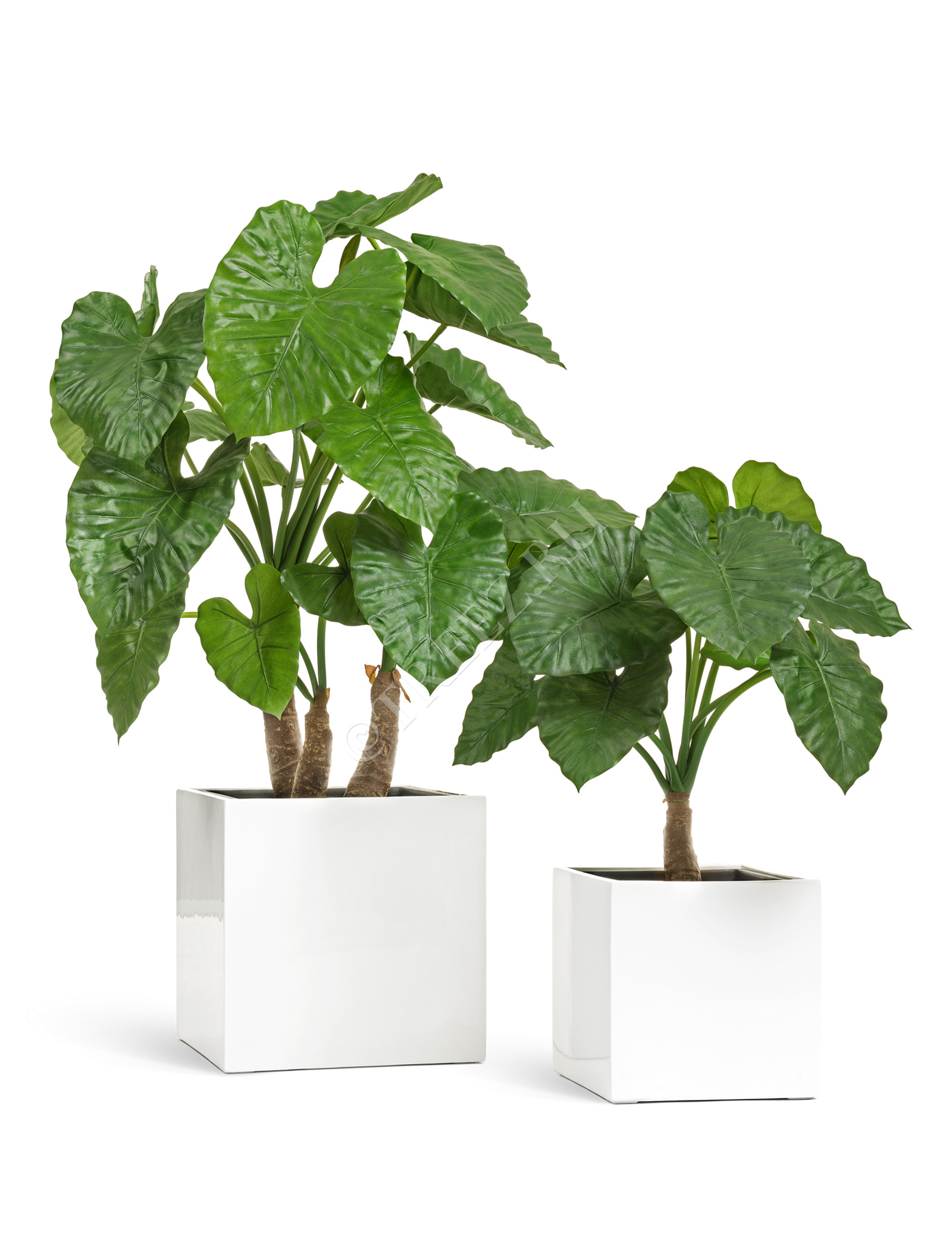 41.3320-05-033-WH-20 Кашпо  Effectory - серия Gloss - Куб - Белый глянцевый лак Цветочная коллекция  - Вид №5