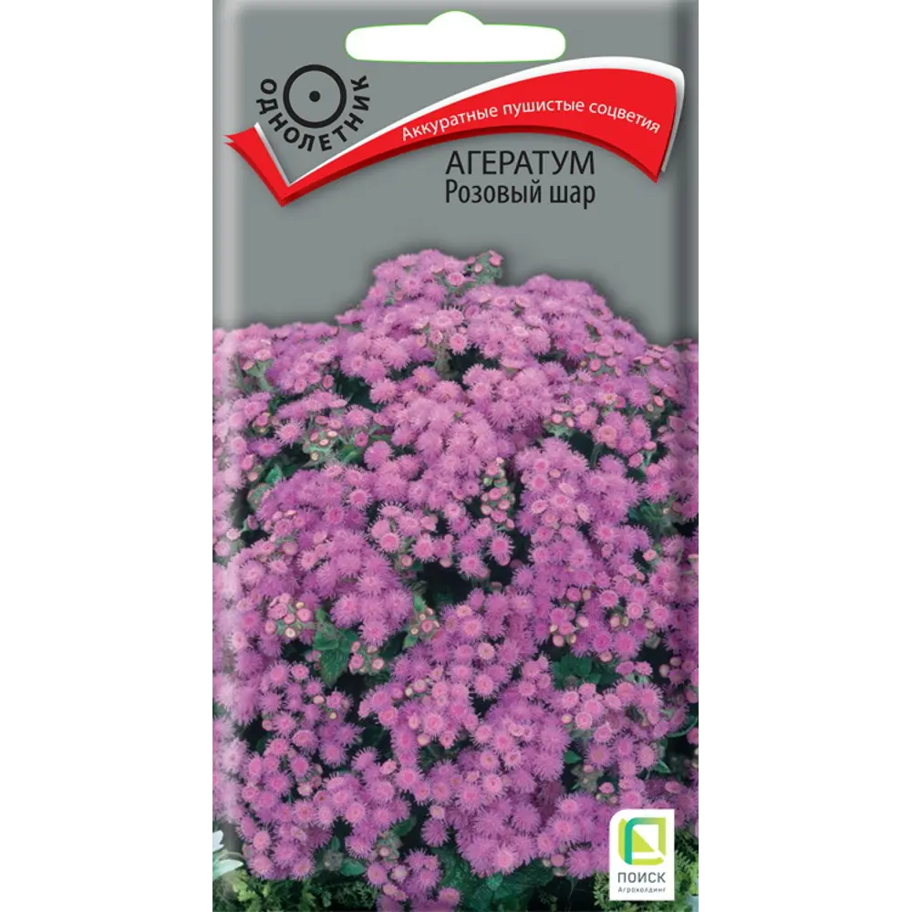 Агератум Розовая королева от ПОИСК - нежные соцветия для сада 89401216 STLM-1570255