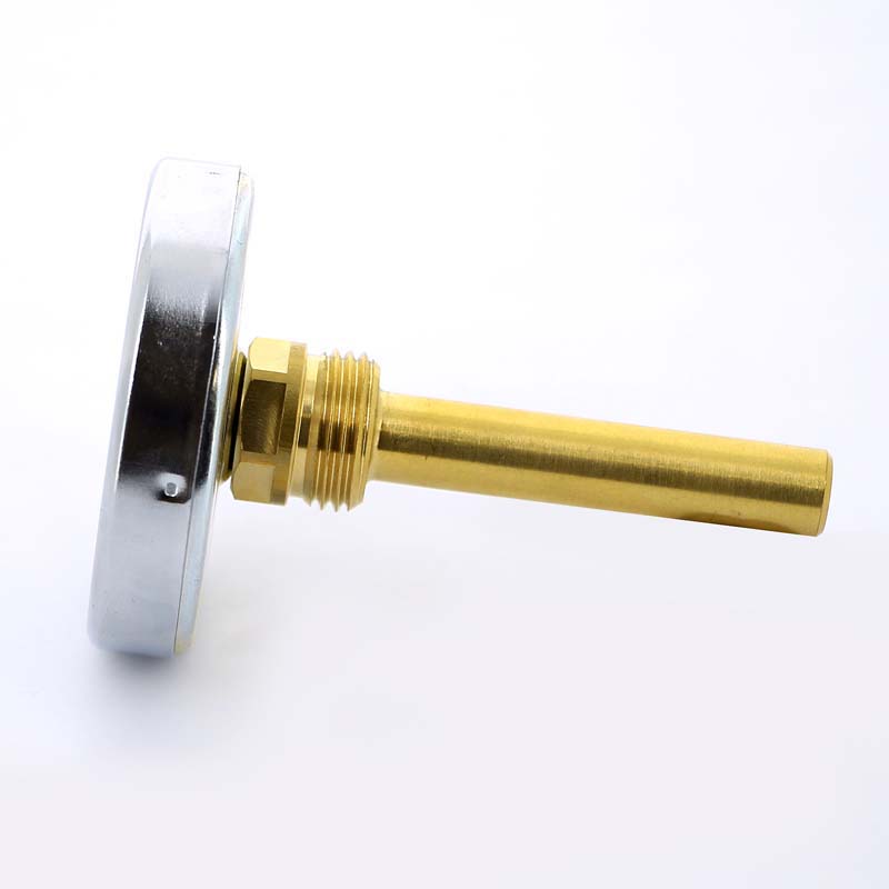 Термометр биметаллический F+R801 80мм с погружной гильзой WATTS Ind 160 град.C гильза 75мм 10005945 - Вид №1