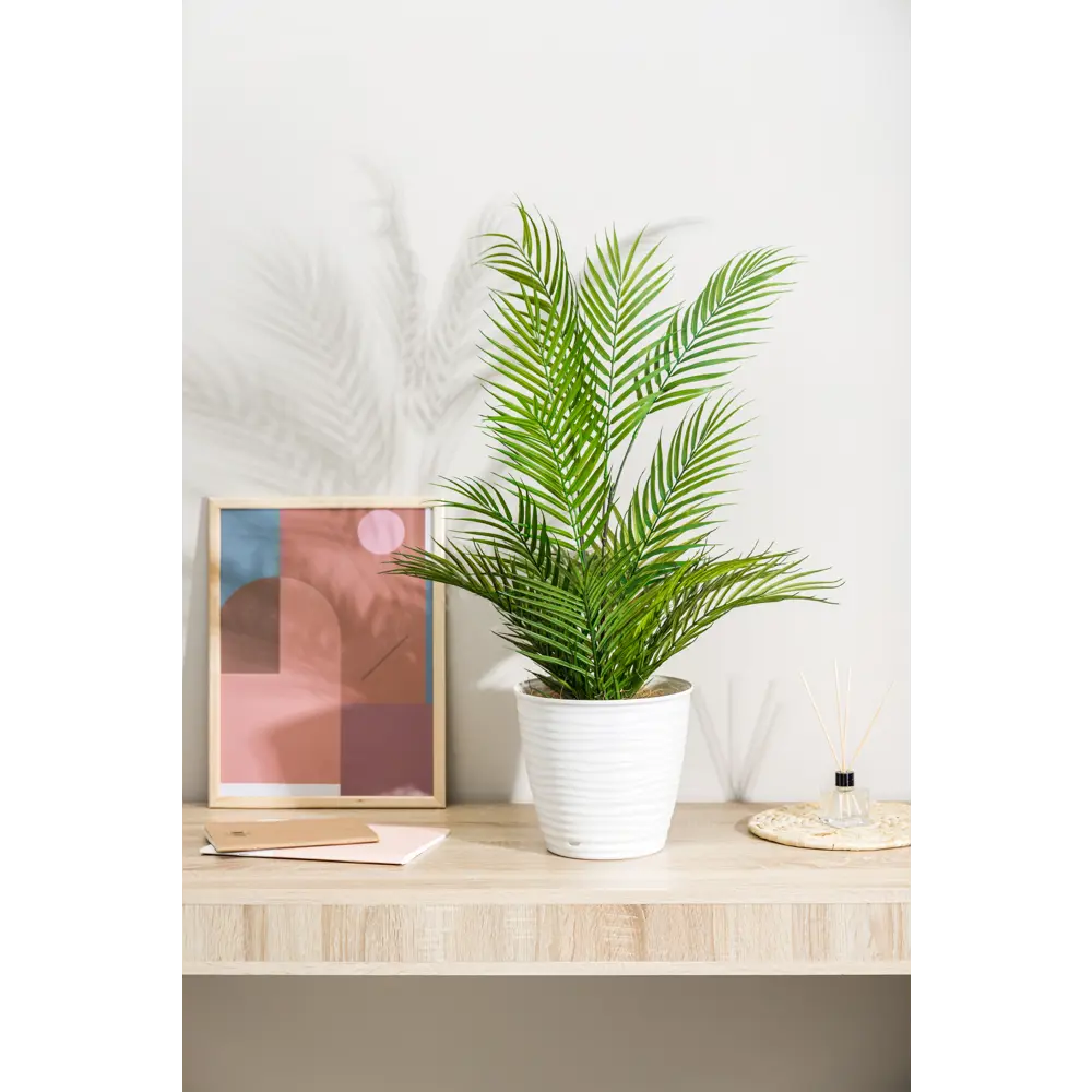 IDI LAND Saffron — элегантный цветочный горшок для современного интерьера 87179948 STLM-0073425 - Вид №5