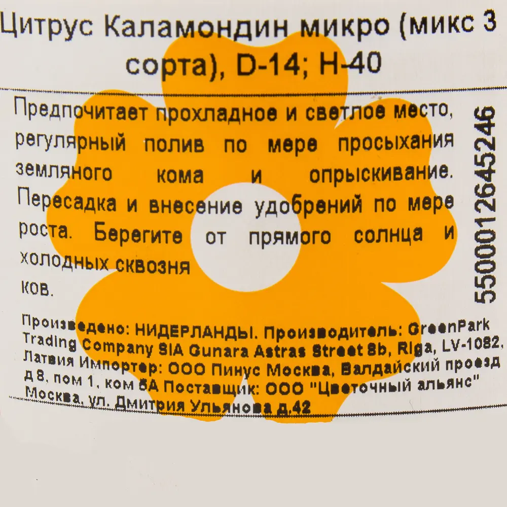 Цитрус Каламондин микро 15x45 см 14448210 STLM-2199535 Santreyd  - Вид №2