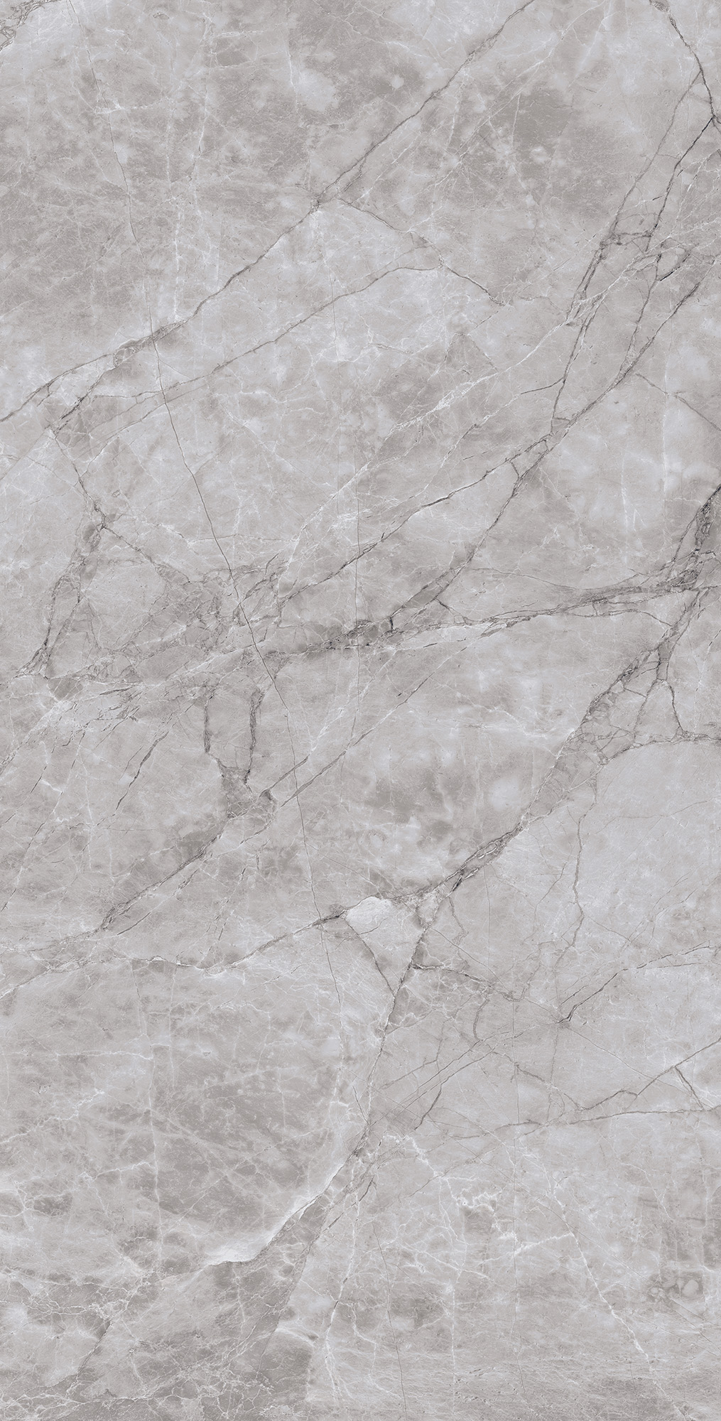 ARCTIC GREY LAPPATO ARCADIA CERAMICA CL4005-A - Вид №3