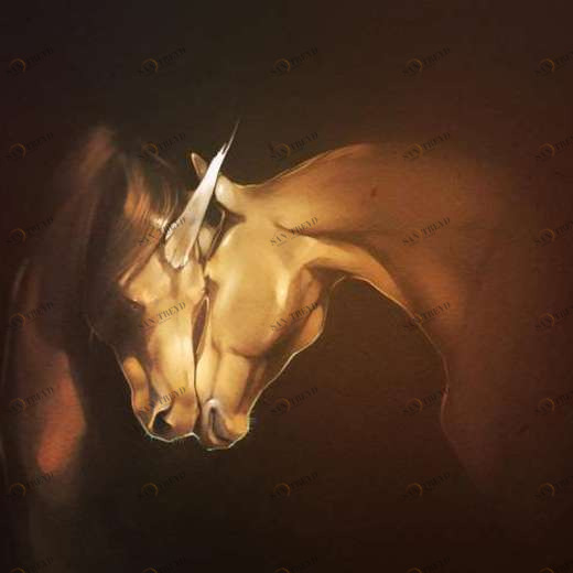 WP01668 Фотообои Verol Фотообои decoline 1х1 м