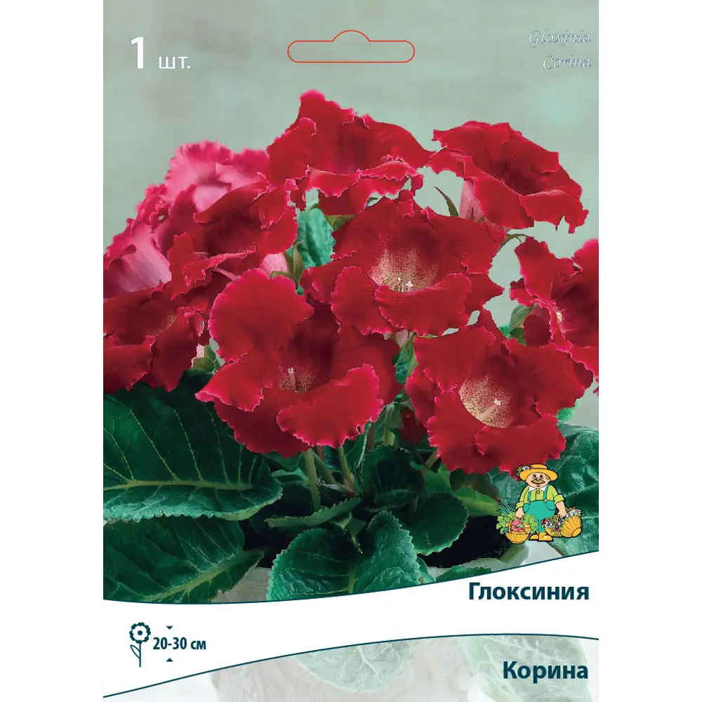 Глоксиния Корина луковица 5/6 83598071 STLM-2026001 Santreyd 