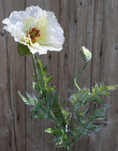 4558 733 a3 Мак синтетический, 1 цветок, 1 бутон, 74 см, бежево-желтый H-andreas