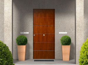 Пуленепробиваемая бронированная входная дверь