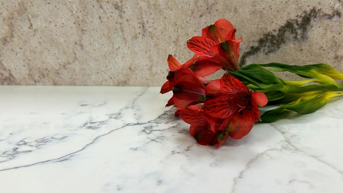 Столешницы для кухни - Альпина / 12 мм LIGRON LIST246 2554 - Вид №5